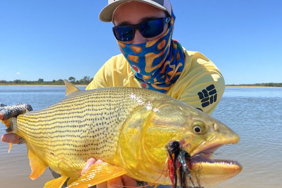 Argentina Golden Dorado Fishing for 2 Anglers