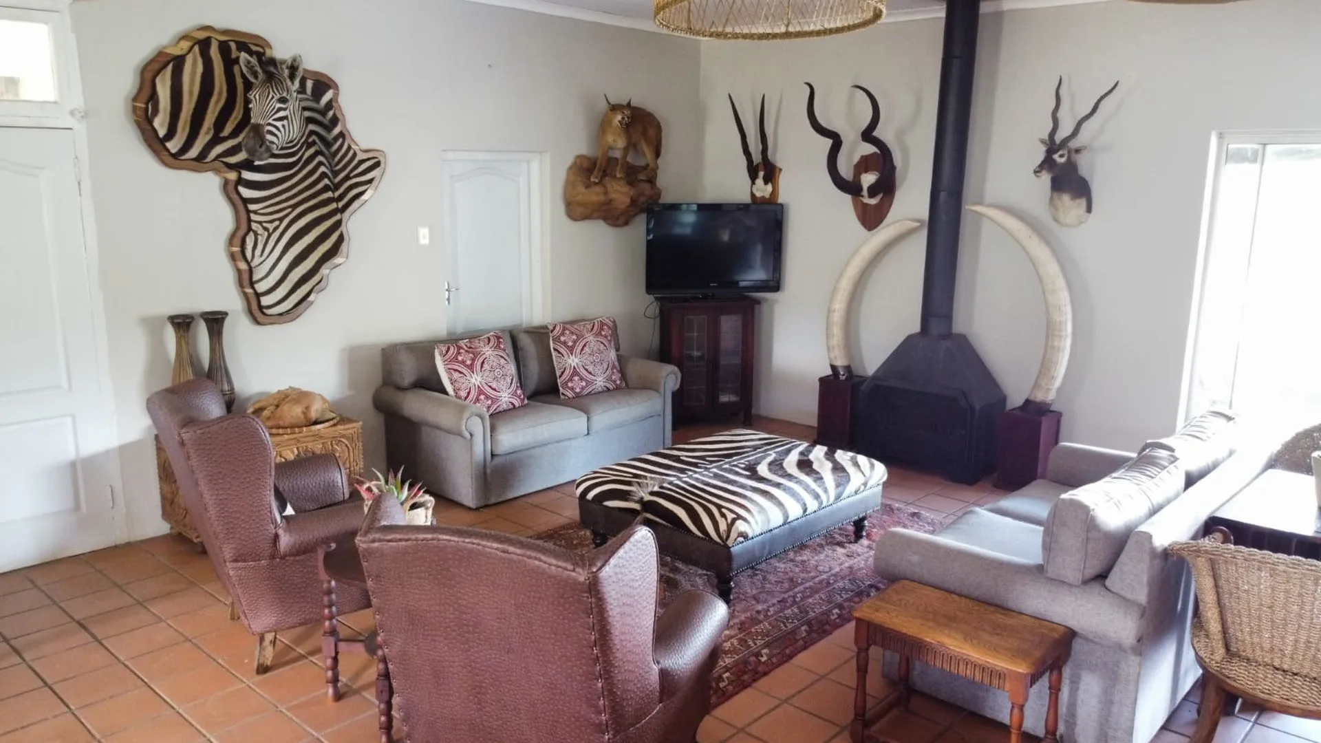 south-africa-safari-lodge-living-room-trophy-wall