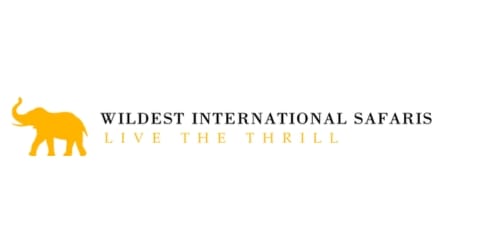 Wildest International Logo